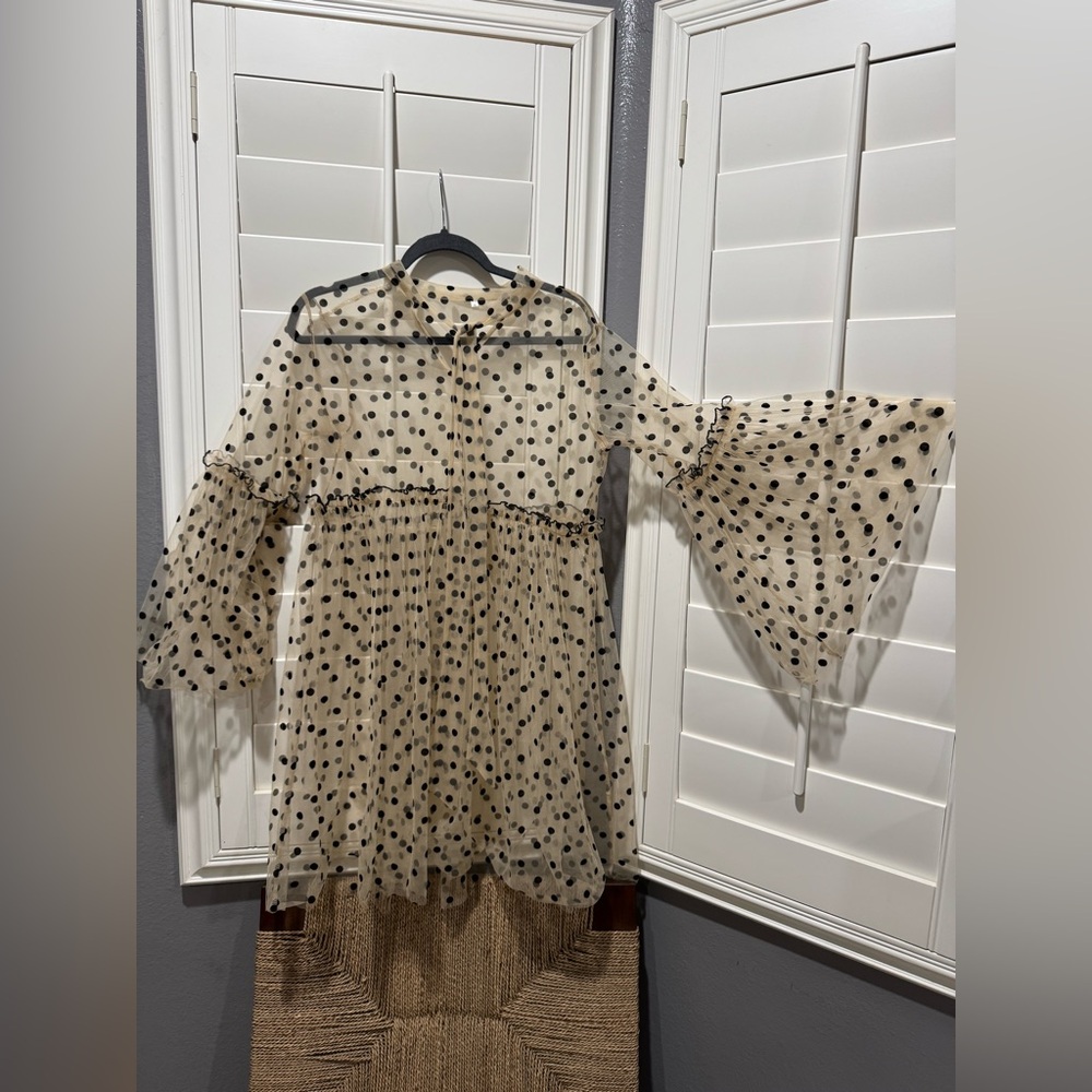 Sheer Polka Dot Bell Sleeve Dress